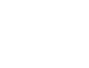 sports renovations discord icon